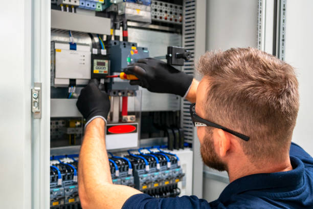 Best Licensed Electrician  in Grayvle, IL