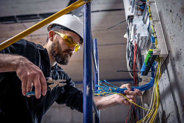 Best Electrician Near Me  in Grayvle, IL