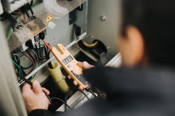 Best Home Electrical Repair  in Grayvle, IL