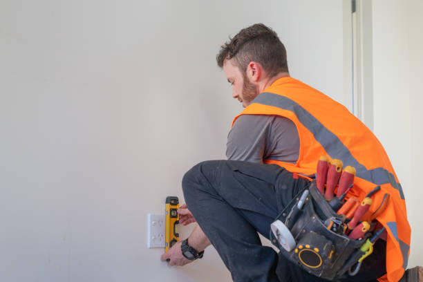 Best Electrical Upgrades for Homes  in Grayvle, IL