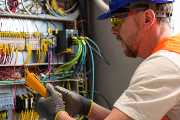 Best Electrician for Home Renovation  in Grayvle, IL